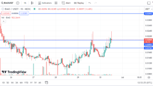 Biaoqing price prediction