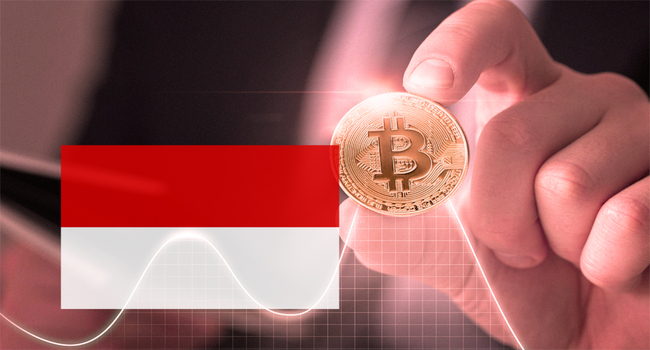 Indonesia Collects Higher Crypto Taxes Over Increased Transactions