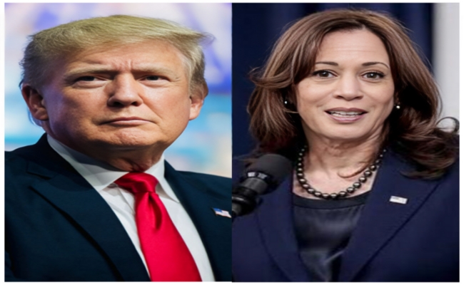 Trump-Harris Debate Ends Without Crypto Talk, Trump-Themed MAGA Coin Tanks 12%