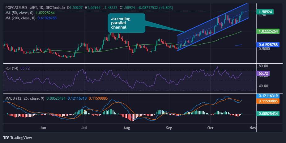 Popcat price