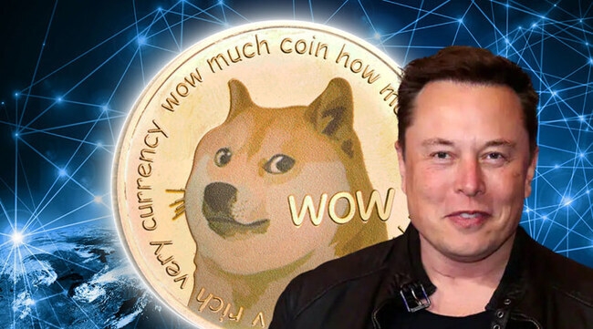 Dogecoin Lawsuit Against Elon Musk Ends as Investors Withdraw Appeal