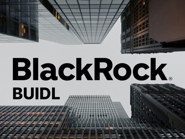 Frax Finance Debuts USD Stablecoin Backed by BlackRock BUIDL