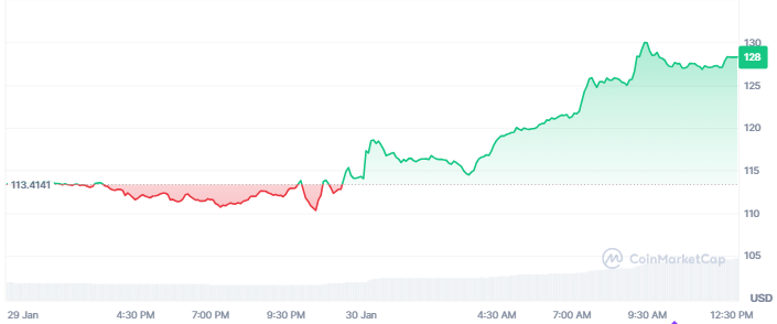Top Crypto Gainers