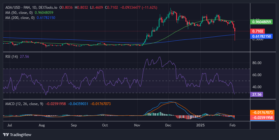 Cardano price