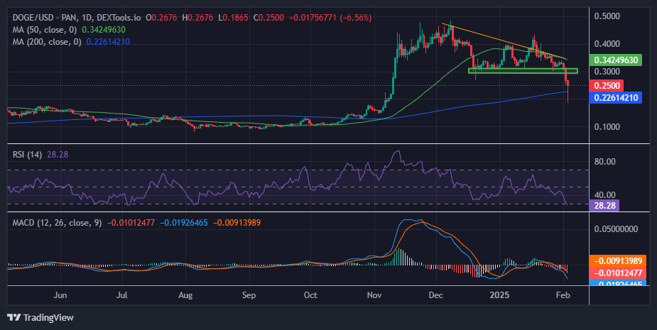 Dogecoin price