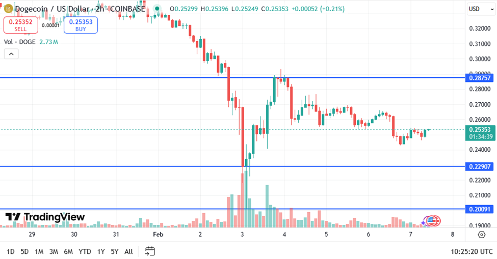 Dogecoin Price Chart