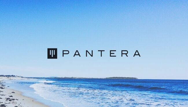 US Senate Probes Pantera Founder for Alleged Tax Law Violations