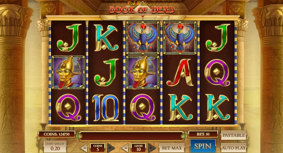 Book of Dead Slot by Play'n Go