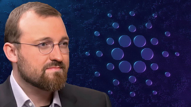 Charles Hoskinson Confirms Ongoing Cardano Audit Report After $600 Million Allegations