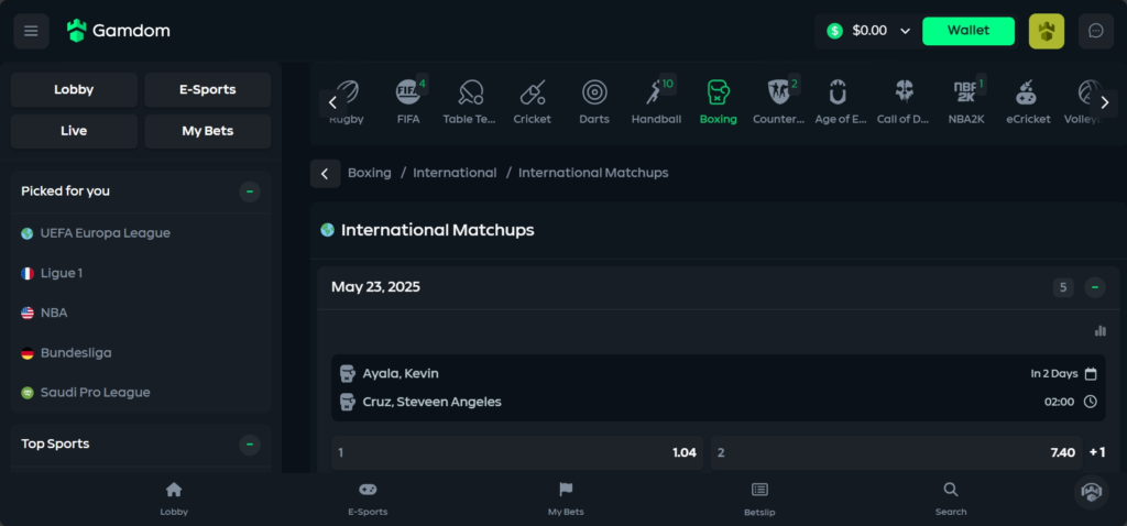 Gamdom Bitcoin boxing betting site