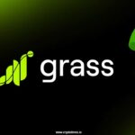Grass Price Surges 12% as Symmetrical Triangle Signals Potential 150% Rally