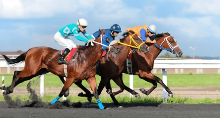 horse racing
