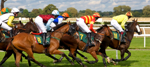 horse racing