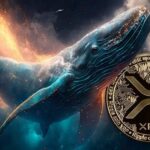 XRP Ledger Activity Skyrockets as Whale Wallets Hit All-Time High