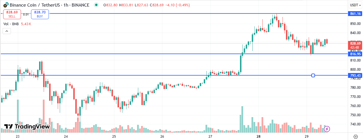 BNB