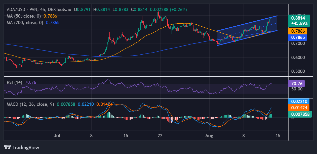 Cardano price