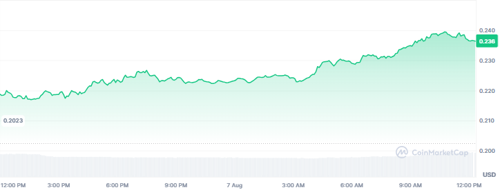 Best Crypto Gainers Today - Conflux, Polygon, DeXe