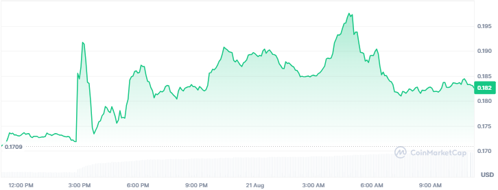 Top Crypto Gainers Today