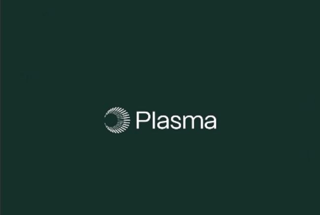 Plasma to Debut Mainnet Beta and Native Token on September 25