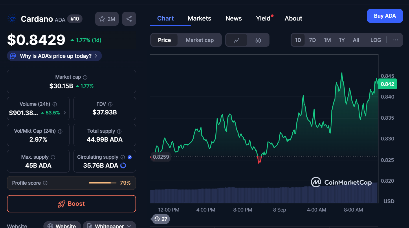 Best Cryptocurrencies to Invest in Today, September 8 – Cardano, Polkadot, Ethena