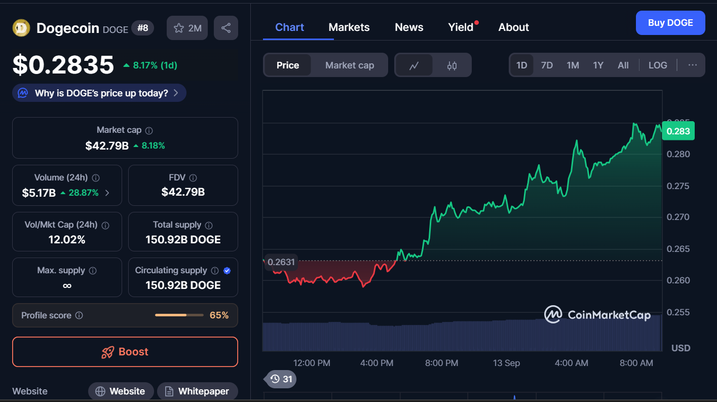 Next Memecoins to Explode, September 13 – DOGE, PEPE, FLOKI
