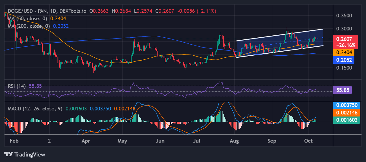 Dogecoin Price Eyes $0.30 as ExpressVPN Reveals It Now Accepts DOGE