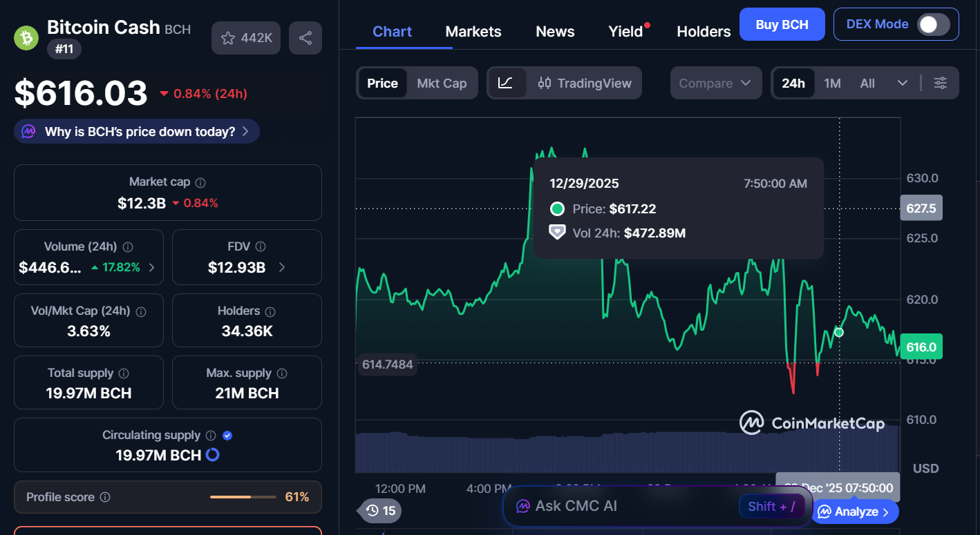 Best Cryptocurrencies to Invest in Today, December 29 – ETH, BCH, LINK 