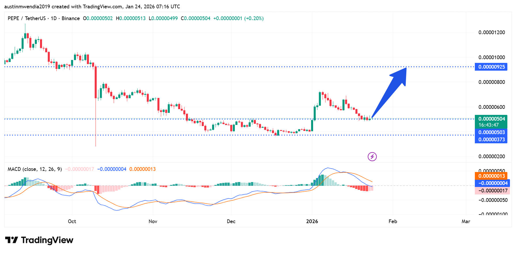 Next Memecoins to Explode, January 24 – PENGU, DOGE, PEPE 