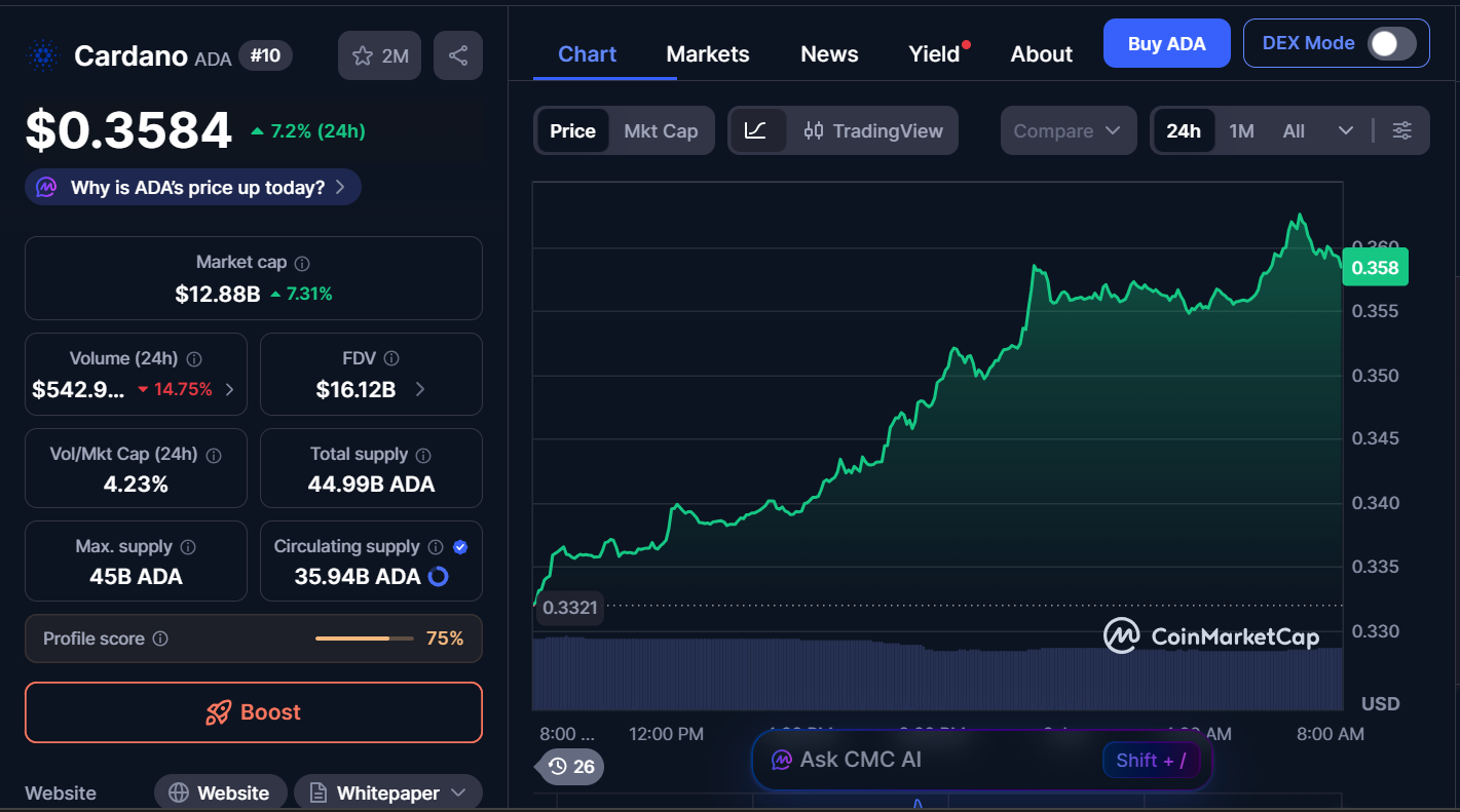 Best Cryptocurrencies to Buy Today, January 2 – BNB, ADA, LINK 