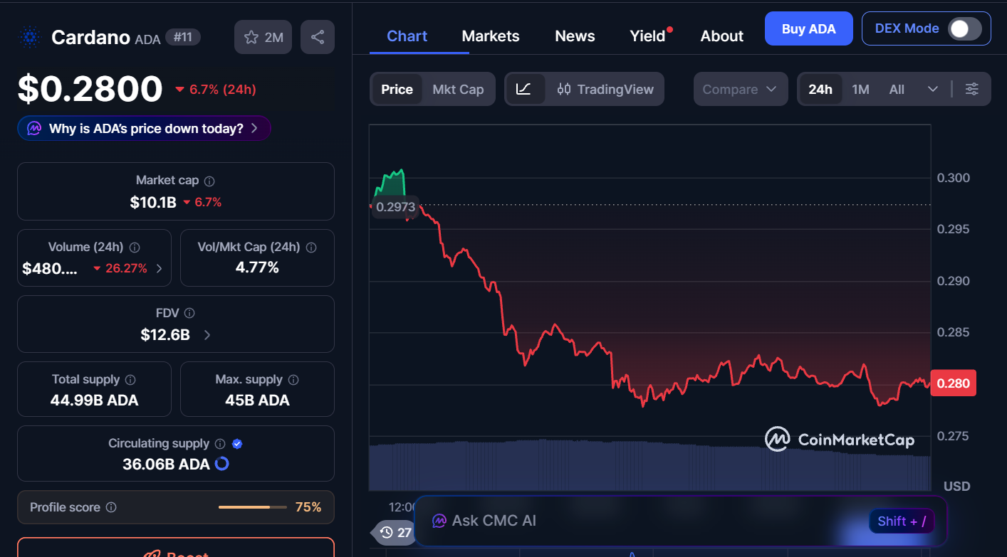 Best Cryptocurrencies to Buy Now