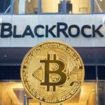 Bitcoin ETF Investors Are Long-Term Accumulators, Says BlackRock