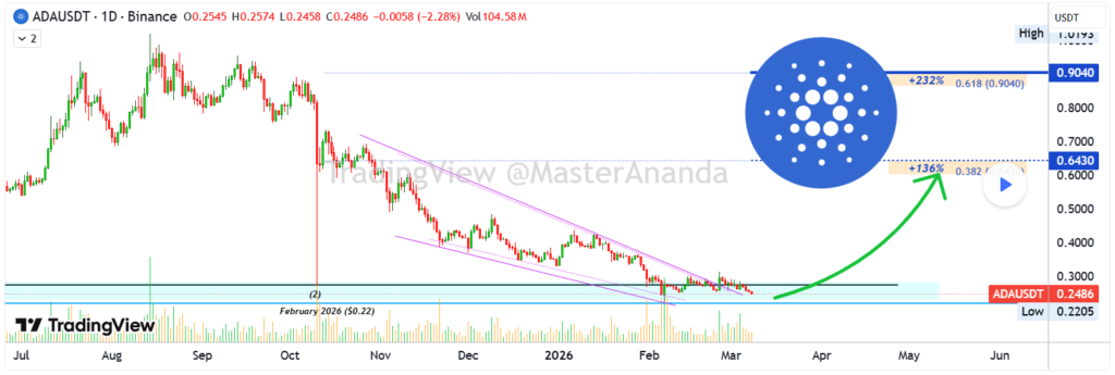 Best Altcoins to Invest in Today