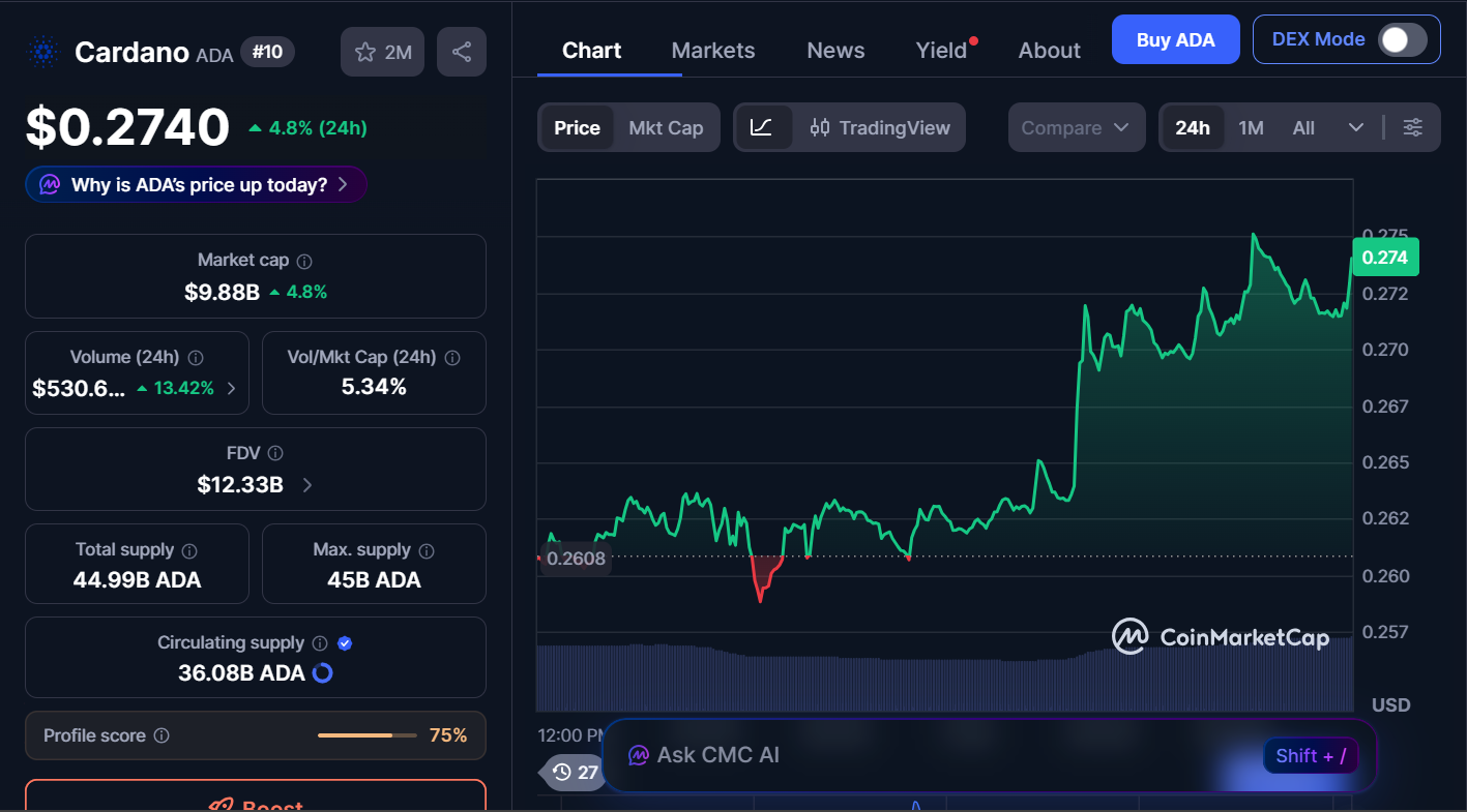 Top Cryptocurrencies to Buy Today, March 13 – XRP, Avalanche, Cardano 